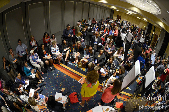 575 NACE 2015 Conference Anaheim