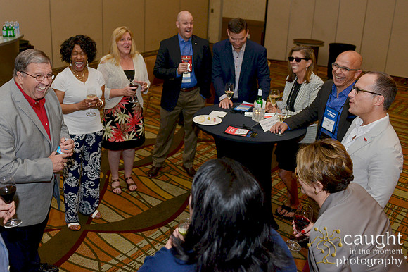 613 NACE 2015 Conference Anaheim
