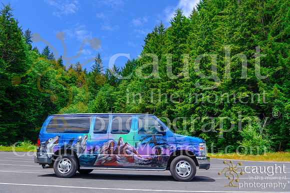 016 escapecampervans