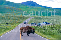 037 escapecampervans