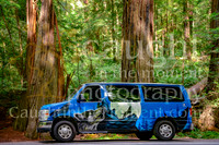 011 escapecampervans
