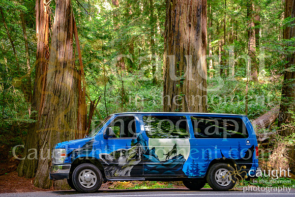 011 escapecampervans