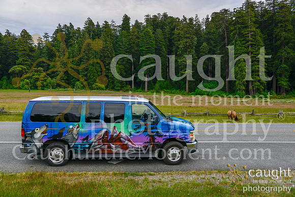 003 escapecampervans