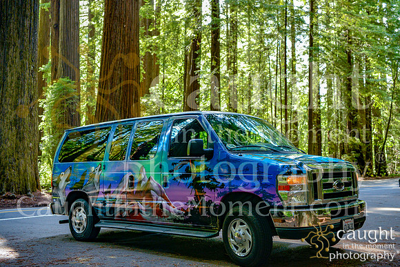 013 escapecampervans