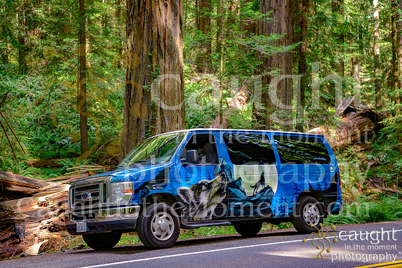 012 escapecampervans