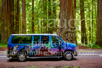 010 escapecampervans