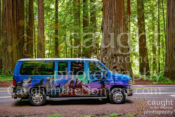 010 escapecampervans