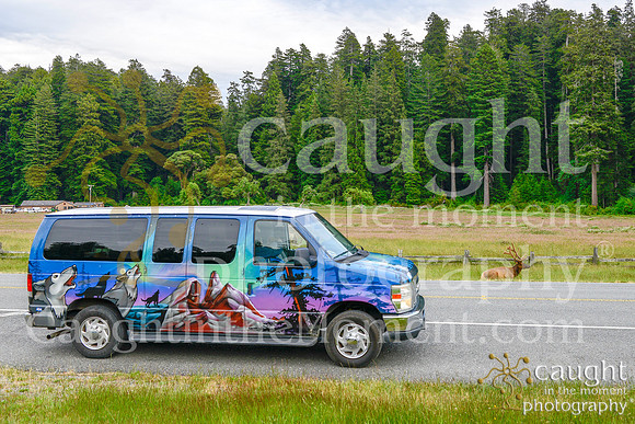 004 escapecampervans