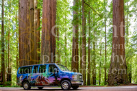 009 escapecampervans