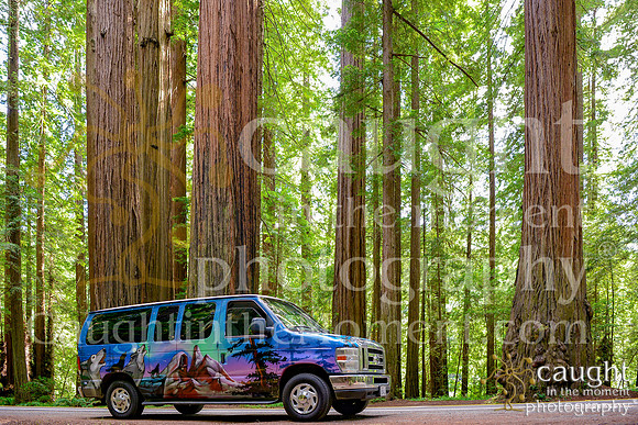009 escapecampervans