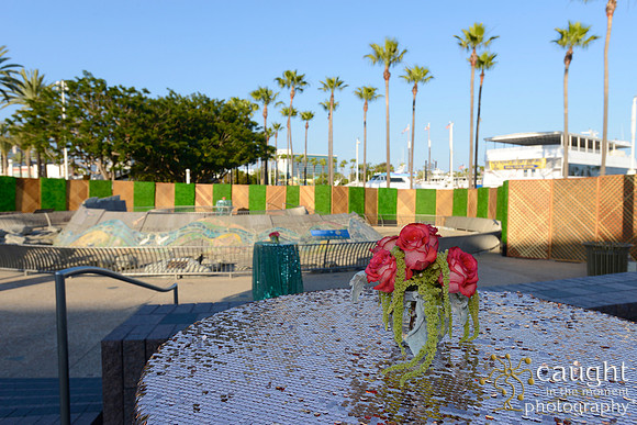 5 Aquarium of the Pacific Blue Whale Gala 2015