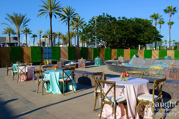 1 Aquarium of the Pacific Blue Whale Gala 2015