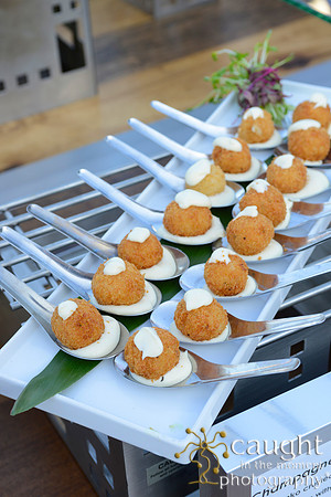 15 Aquarium of the Pacific Blue Whale Gala 2015