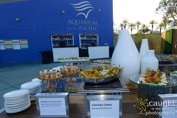 22 Aquarium of the Pacific Blue Whale Gala 2015