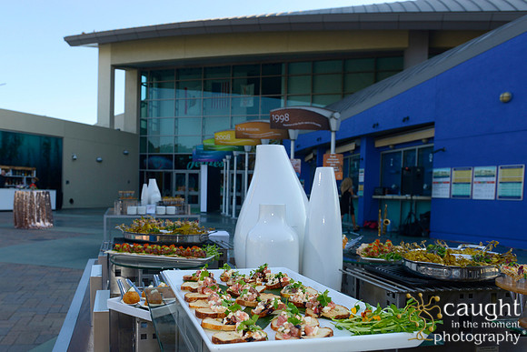 24 Aquarium of the Pacific Blue Whale Gala 2015