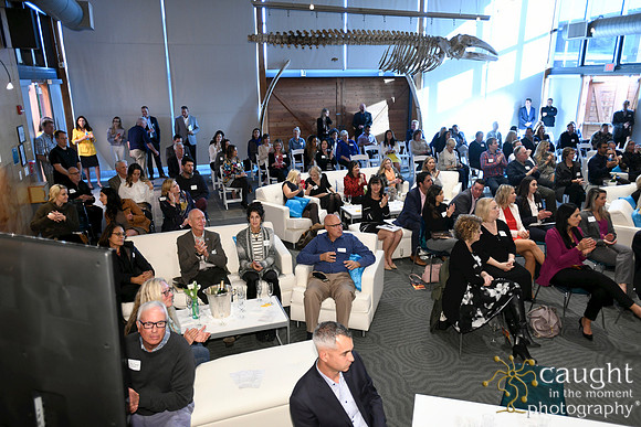 058 Visit Dana Point Brand Reveal