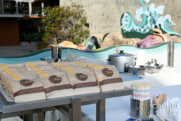 074 Visit Dana Point Brand Reveal