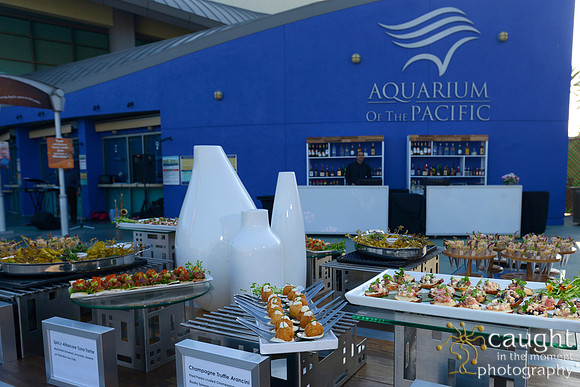20 Aquarium of the Pacific Blue Whale Gala 2015