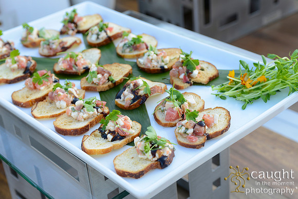 17 Aquarium of the Pacific Blue Whale Gala 2015