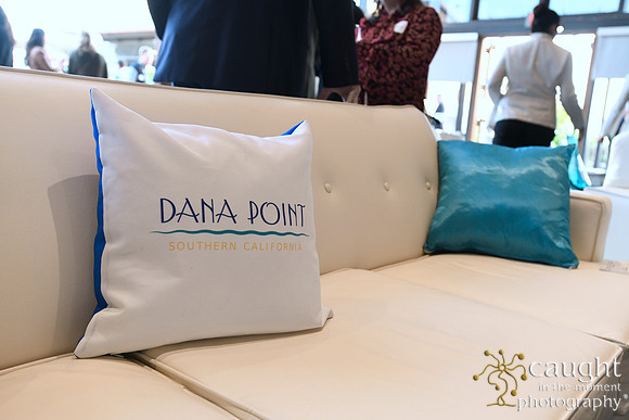 014 Visit Dana Point Brand Reveal