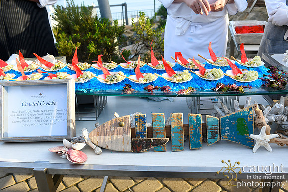 071 Visit Dana Point Brand Reveal