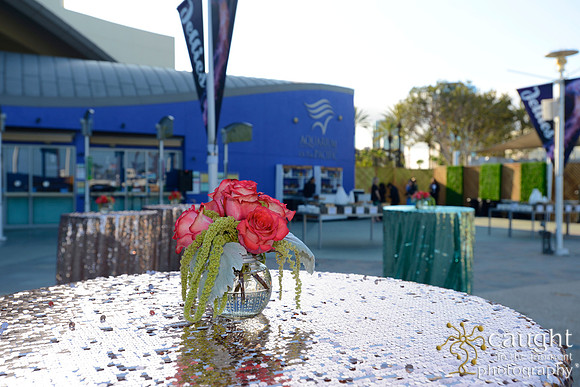 2 Aquarium of the Pacific Blue Whale Gala 2015