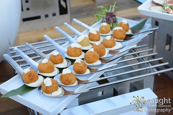 16 Aquarium of the Pacific Blue Whale Gala 2015