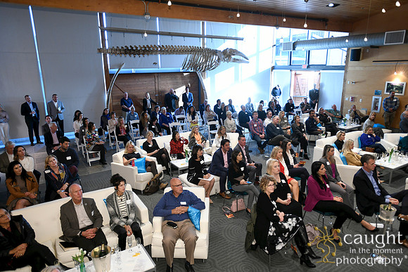 059 Visit Dana Point Brand Reveal