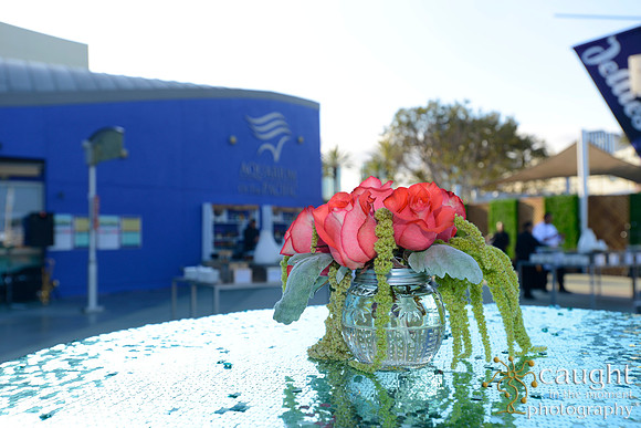 4 Aquarium of the Pacific Blue Whale Gala 2015