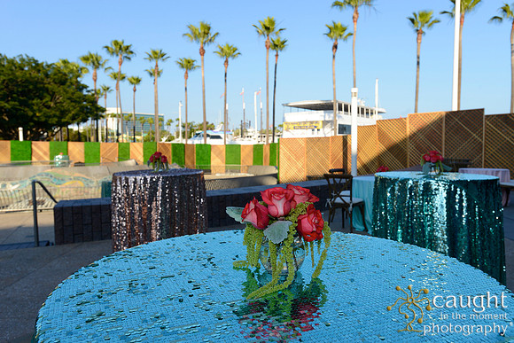 6 Aquarium of the Pacific Blue Whale Gala 2015
