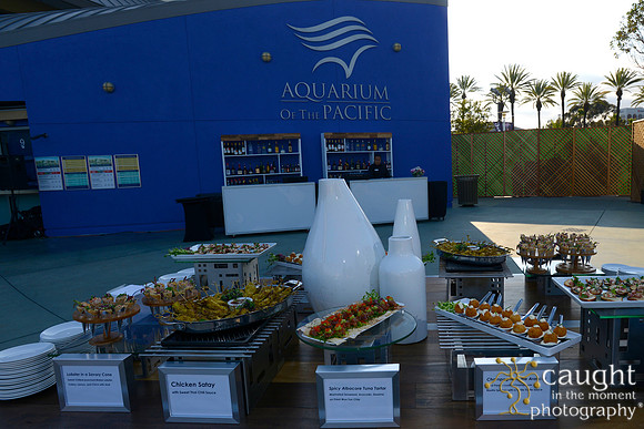 21 Aquarium of the Pacific Blue Whale Gala 2015