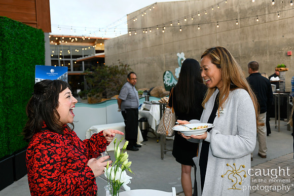 112 Visit Dana Point Brand Reveal