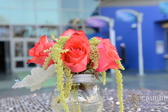 10 Aquarium of the Pacific Blue Whale Gala 2015