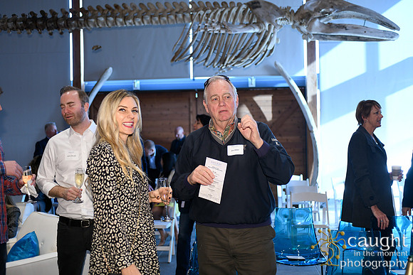 031 Visit Dana Point Brand Reveal