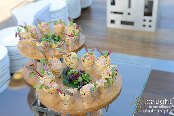 18 Aquarium of the Pacific Blue Whale Gala 2015