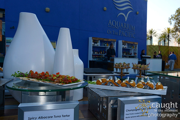 19 Aquarium of the Pacific Blue Whale Gala 2015