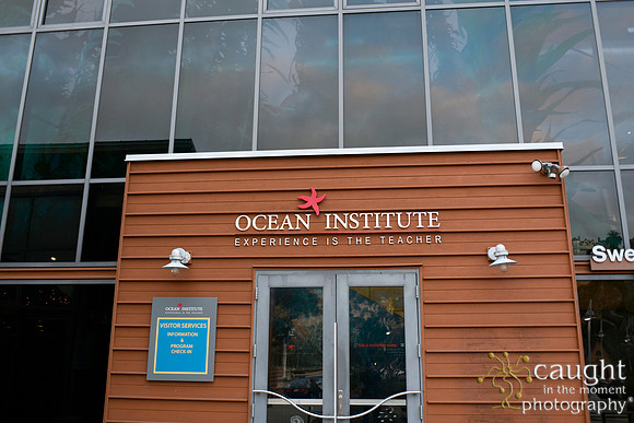 001 Visit Dana Point Brand Reveal
