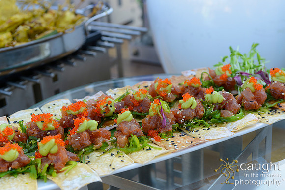 14 Aquarium of the Pacific Blue Whale Gala 2015