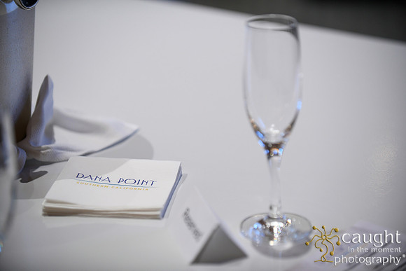 018 Visit Dana Point Brand Reveal