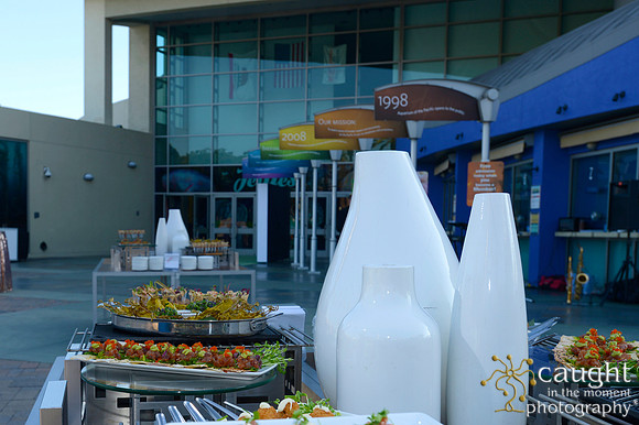 23 Aquarium of the Pacific Blue Whale Gala 2015