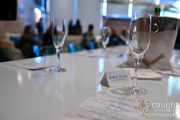 021 Visit Dana Point Brand Reveal