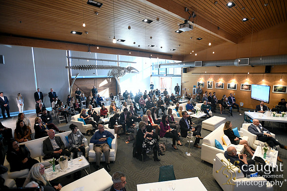 049 Visit Dana Point Brand Reveal