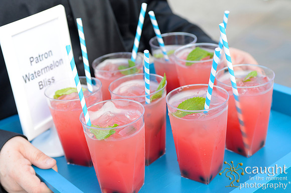 31 Aquarium of the Pacific Blue Whale Gala 2015