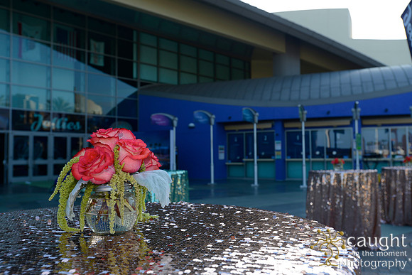 3 Aquarium of the Pacific Blue Whale Gala 2015