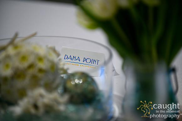 016 Visit Dana Point Brand Reveal