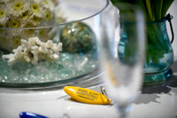 017 Visit Dana Point Brand Reveal