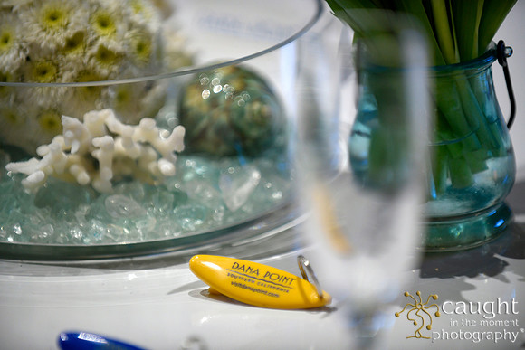 017 Visit Dana Point Brand Reveal