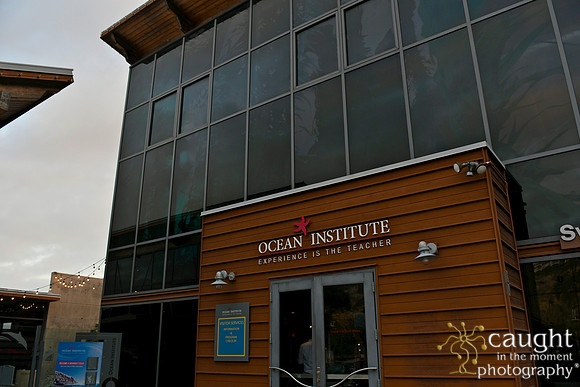002 Visit Dana Point Brand Reveal