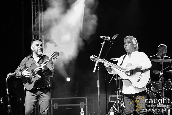 001 gypsy kings live performance