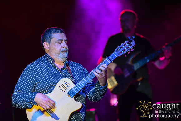 005 gypsy kings live performance